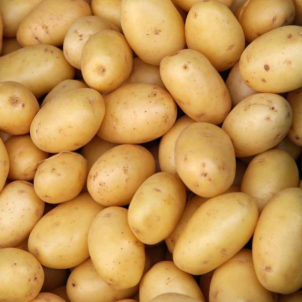 Een hoop lichtbruine aardappelen