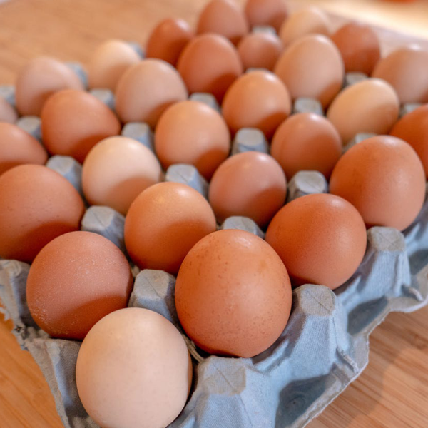 kopen Een eierdoos gevuld met bruine en witte eieren